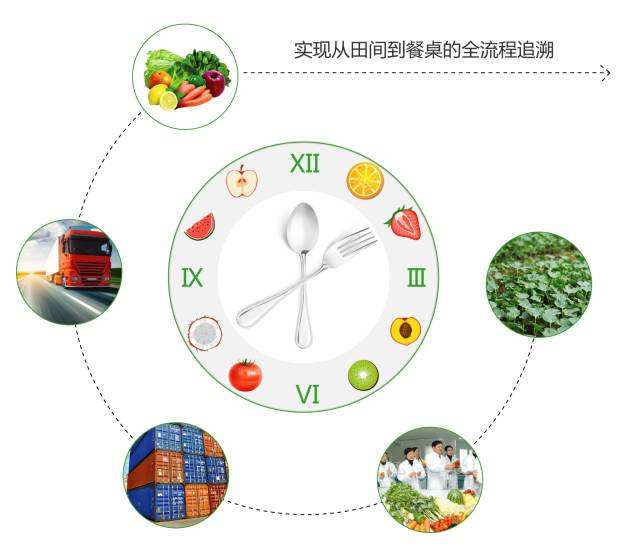 食品溯源系統(tǒng)